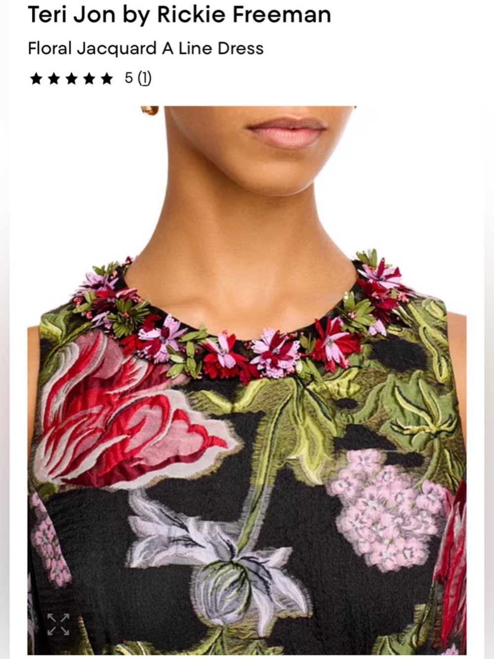 Teri Jon Floral Jacquard A-Line Dress in Black, Red, Green